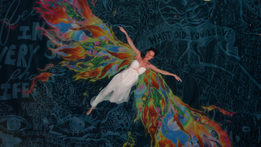 The image features a striking visual of a woman floating on water with vibrant, colorful wings. She floats atop water that is overlaid with intricate subconscious drawings, adding depth and a dream-like quality to the scene. The title "Fall of the Phoenix" is prominently displayed in bold gold letters, reflecting themes of rebirth and resilience.